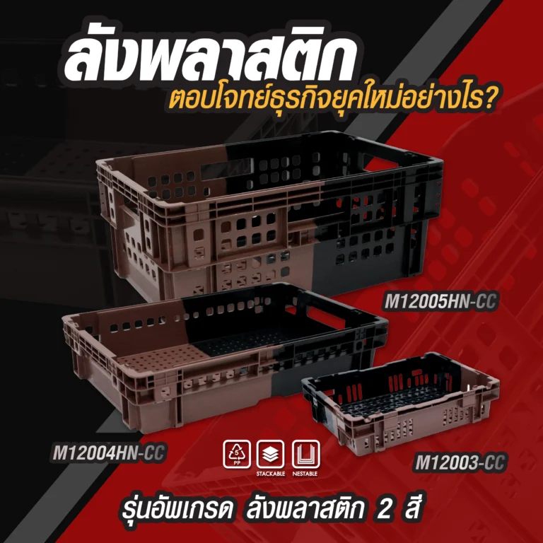 Content Facebook T001